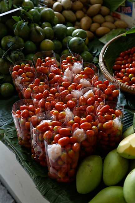 Talin chan-NOV13-063